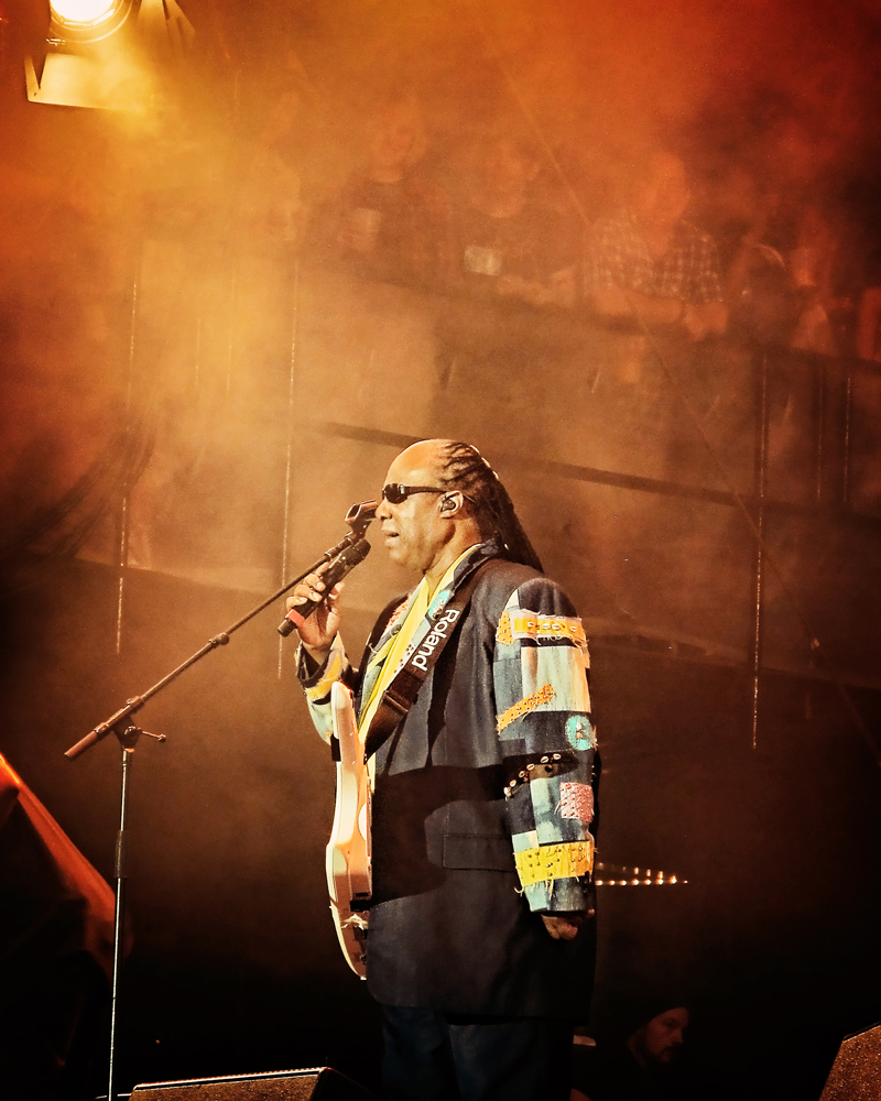Stevie Wonder 2013